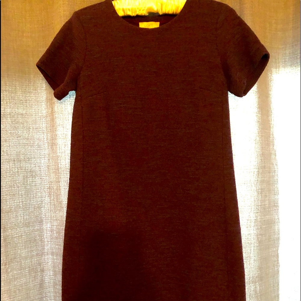 Ann Taylor Loft Sweater Dress